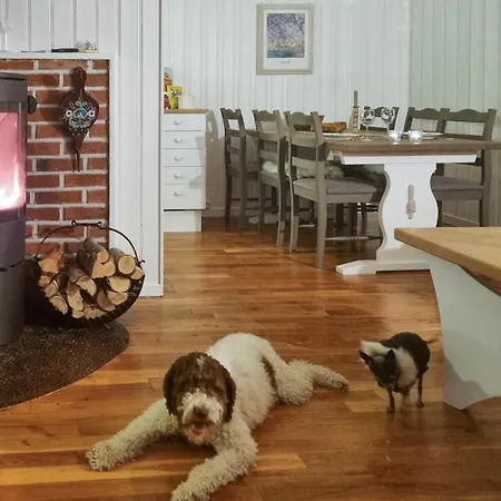 Pet Friendly In With Wifi *