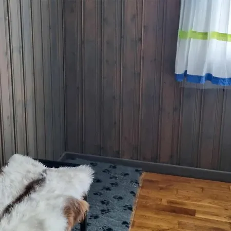 بيت للعطل Pet Friendly In With Wifi *